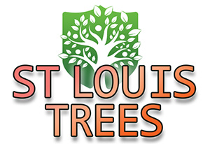 St Louis Trees Logo A