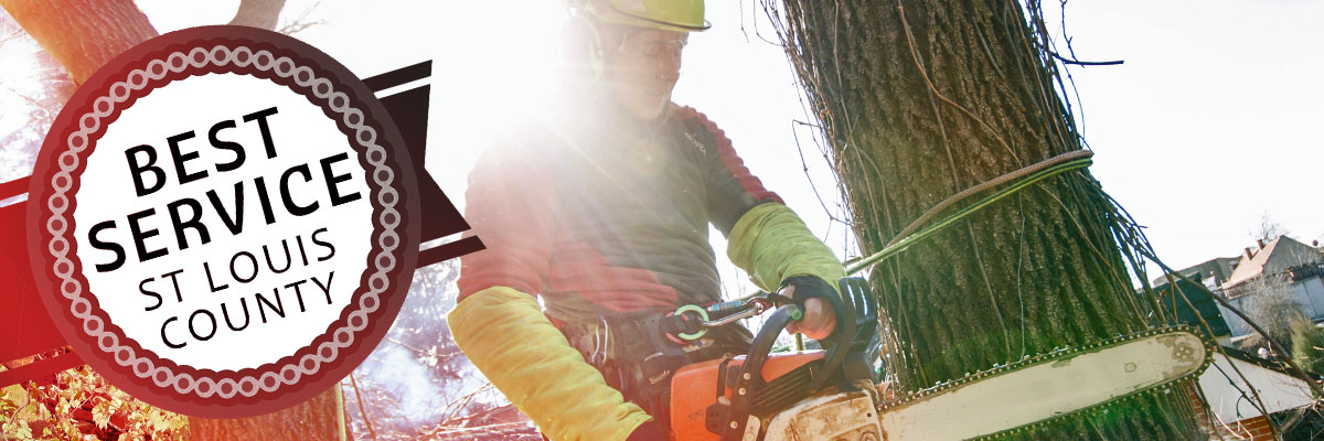 best tree service st louis county