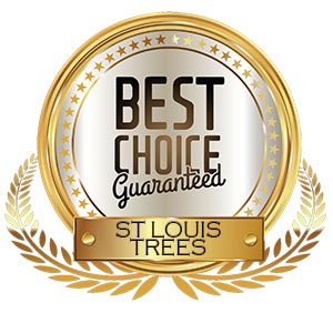 Best Service Choice - St Louis Trees